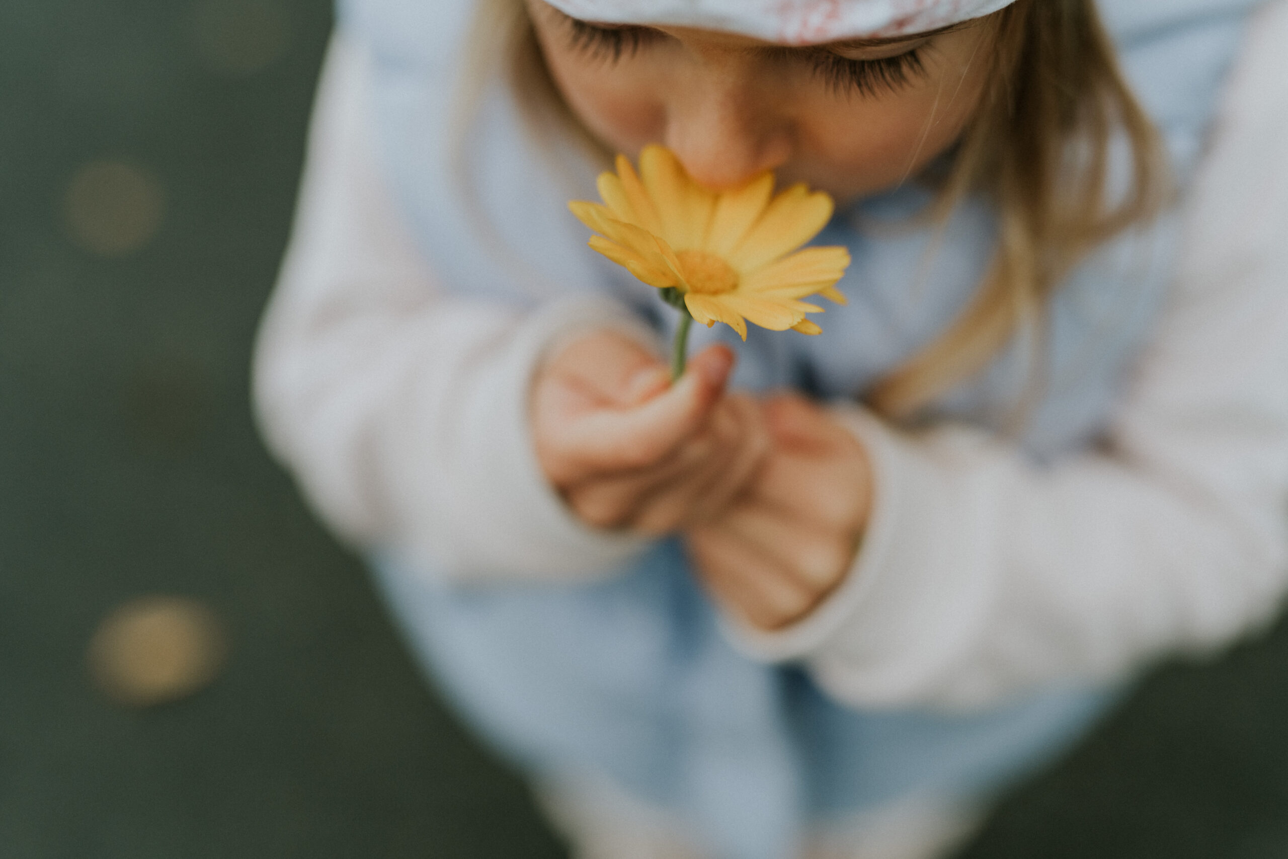 Terve Meele Kodu – kuidas loovad tegevused ja loodus aitavad lastel kasvada?