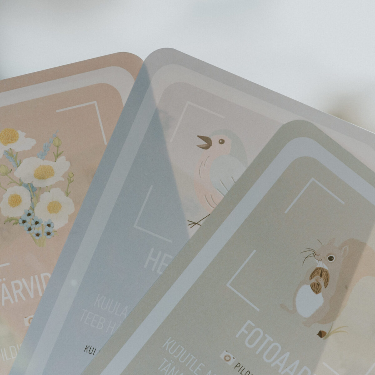 Õpetlikud fotokaardid – 29 sammu looduse ja fotograafia mõistmiseks