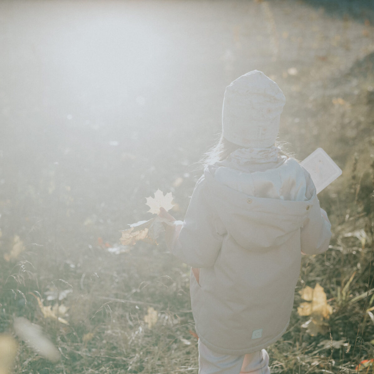 Capture Mindfully, 25 noticing cards